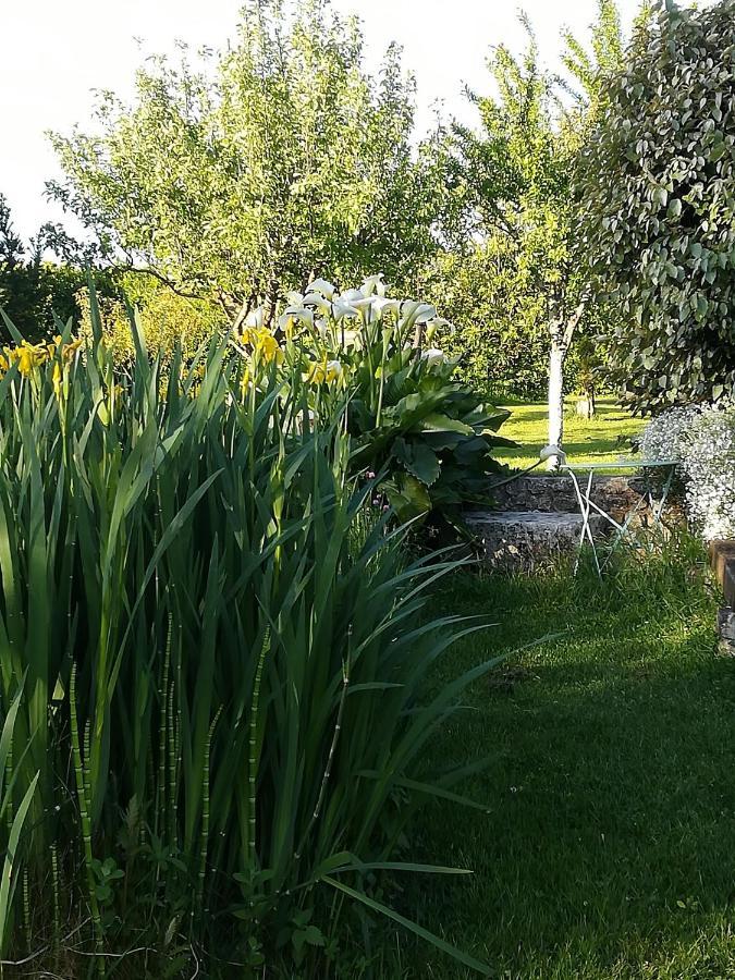La Cle Du Puy Bed and Breakfast Cabariot Εξωτερικό φωτογραφία
